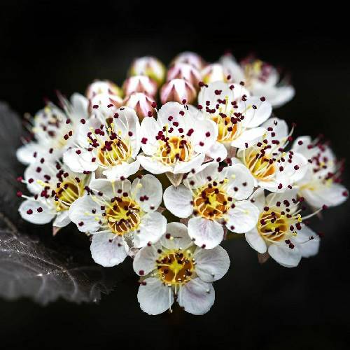 مجتبی آلاله از آن روزی تو رفتی عشق شبام تکراریو دردن